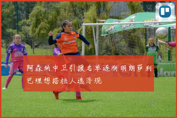 阿森纳中卫引援名单逐渐明朗萨利巴理想搭档人选浮现