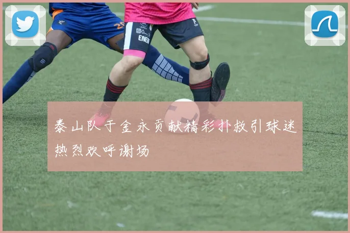 泰山队于金永贡献精彩扑救引球迷热烈欢呼谢场