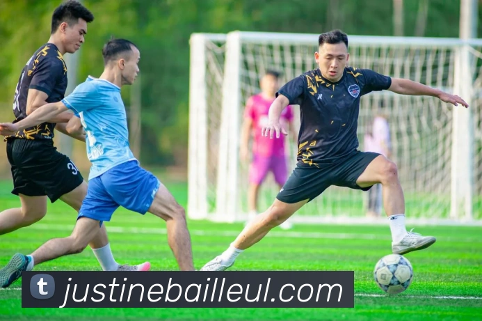 登录器